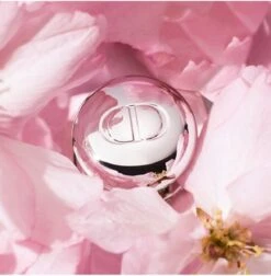 Merkloos Dior Addict Lip Maximizer Lipgloss - 012 Rosewood - Lipgloss - 6 Ml - 24 Uur Zichtbaar Effect -Deluxe - Gewild - Snel Uitverkocht - Rituals - Beste Getest Uit De Consumentenbond - Let Op: Op = Op -Lip Make Up Winkel 1175x1200 2