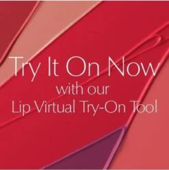 Estée Lauder Pure Color Envy Sculpting Lipstick - 330 Impassioned -Lip Make Up Winkel 1193x1200 5