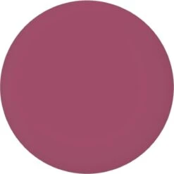 Max Factor Lipfinity Velvet Matte Lippenstift - 050 Satin Berry Rood -Lip Make Up Winkel 1198x1200 42