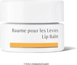 Dr. Hauschka Dr. Hauschka Lip Balm 4,5 Ml -Lip Make Up Winkel 1200x1018