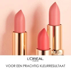 L'Oréal Paris Color Riche Matte Lippenstift - 348 Brick Vintage -Lip Make Up Winkel 1200x1196 8