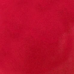 Blèzi® Lip Fix 95 Gracious Red - Lipstick - Lippenstift Langhoudend - Rood Bruin -Lip Make Up Winkel 1200x1200 376