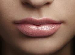 L'Oréal Paris Color Riche Shine Lippenstift - 658 Topless -Lip Make Up Winkel 1200x891 1