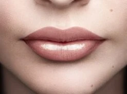 L'Oréal Paris Color Riche Shine Lippenstift - 658 Topless -Lip Make Up Winkel 1200x895