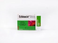 Echinacin Stick * 4.8 Gr -Lip Make Up Winkel 1200x901